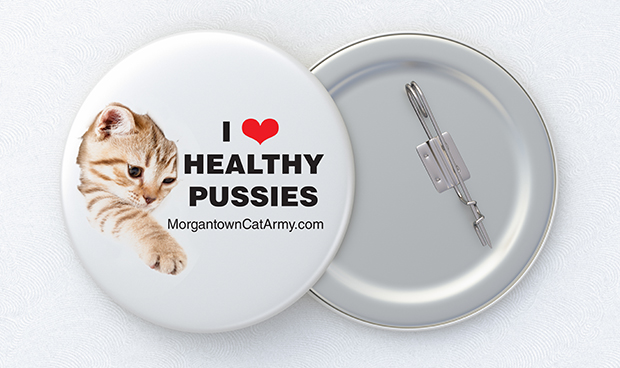 Morgantown Cat Army button